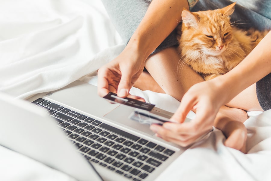 pet insurance
