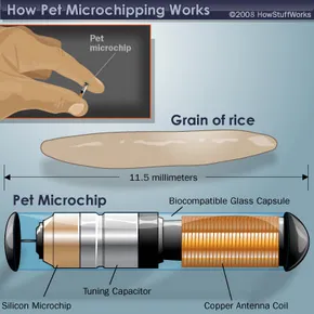 Pet Microchipping