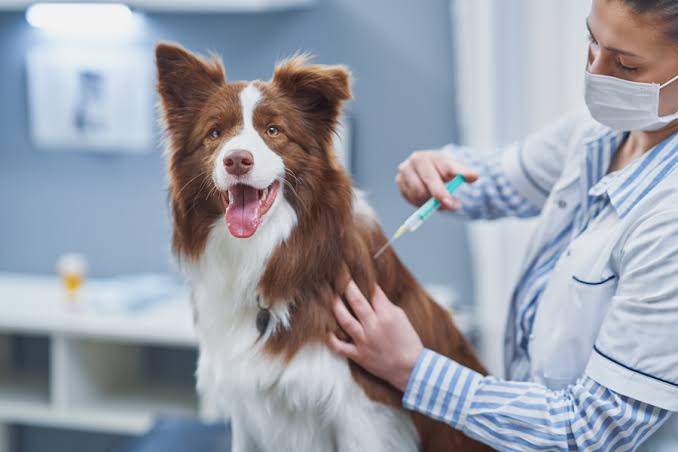 Routine Lab Testing
