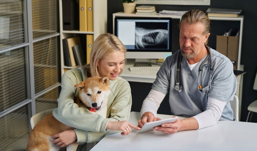 Average Cost of Pet Insurance 2026