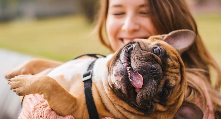 what-does-pet-insurance-cover-for-pets