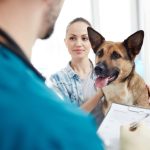 what-is-pet-insurance-scaled
