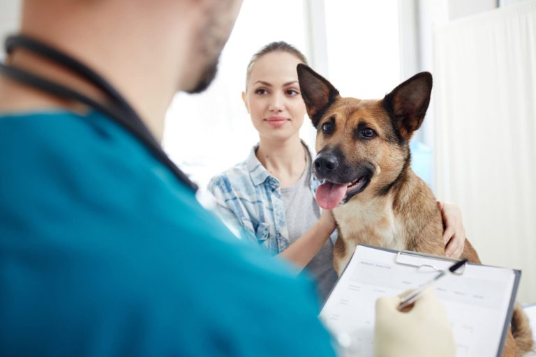 what-is-pet-insurance-scaled