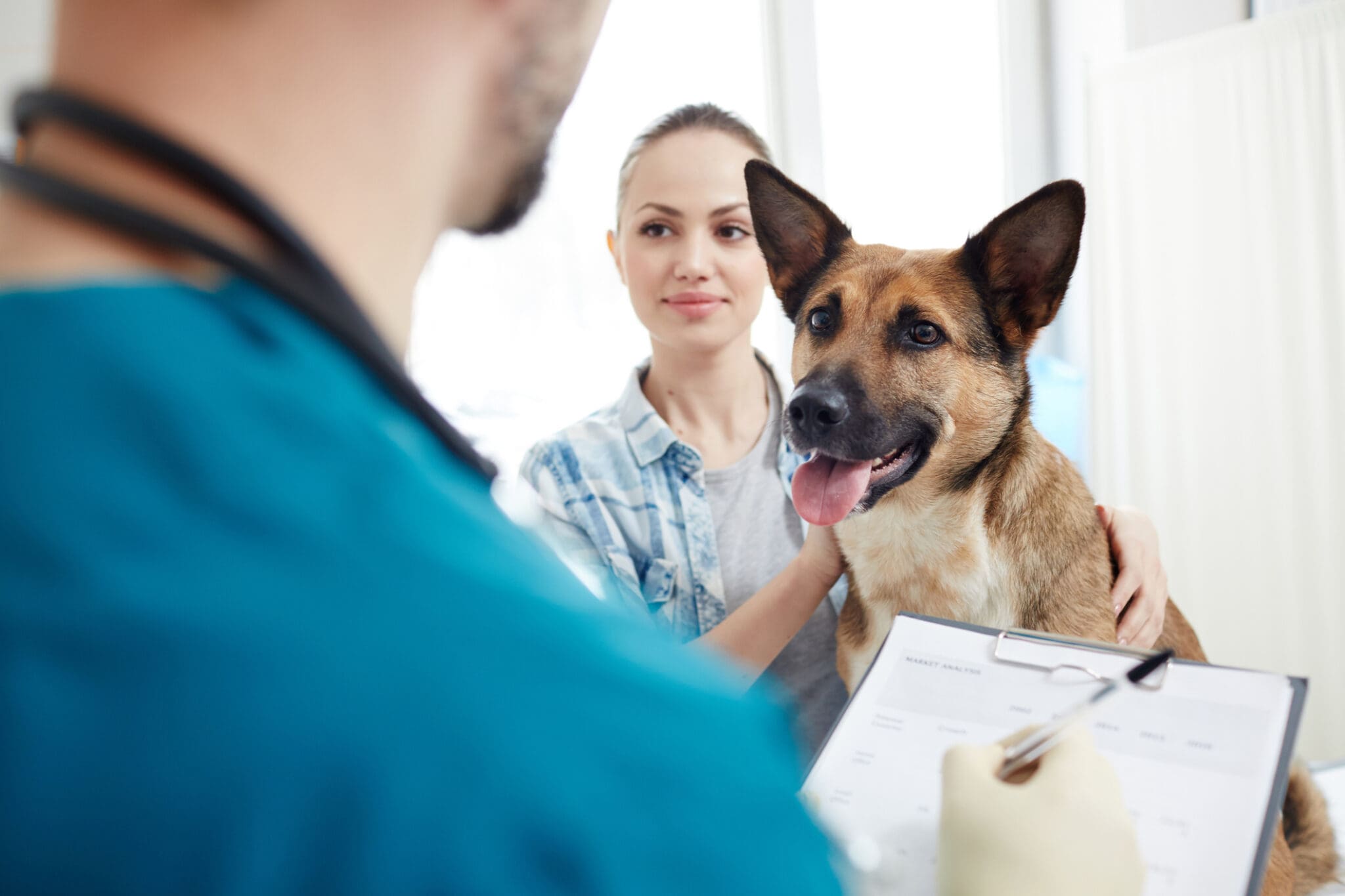 What Pet Insurance Covers Cancer Treatment?